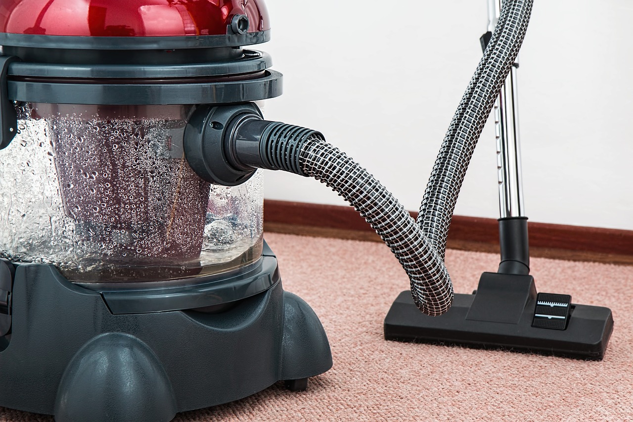 Vacuum cleaner to get rid of carpet beetles